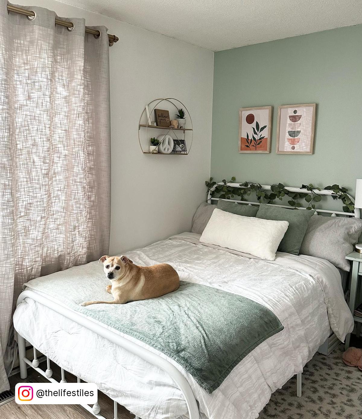 Bedroom Accent Wall Green